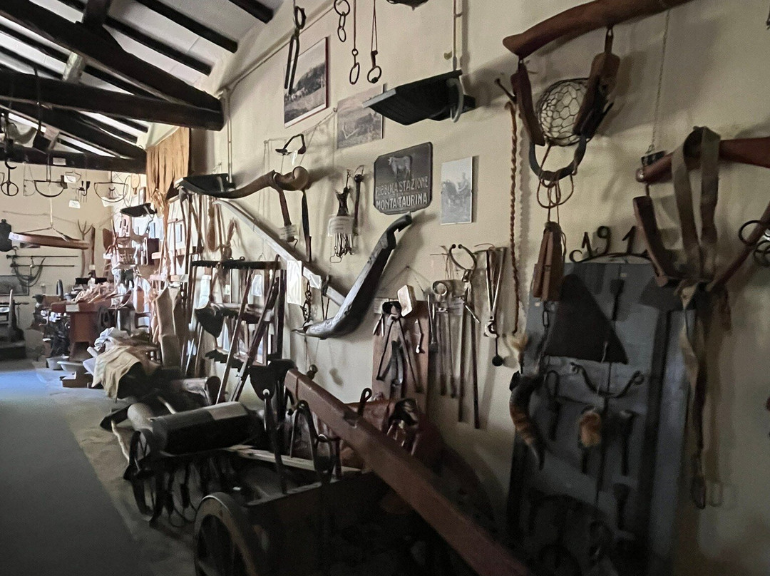 Museo Della Civilta' Contadina-Soragna必去景点