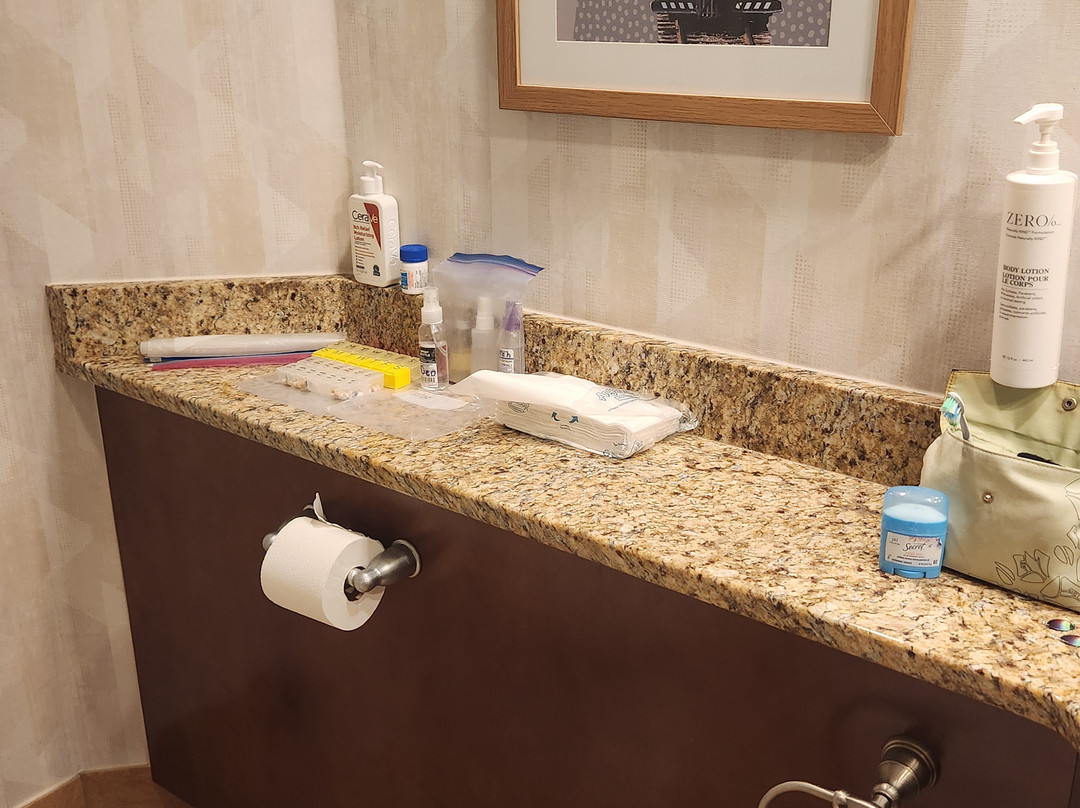 Hampton Inn By Hilton Duluth Canal Park主图