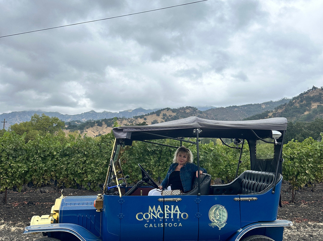 Maria Concetto Winery-卡利斯托加必去景点