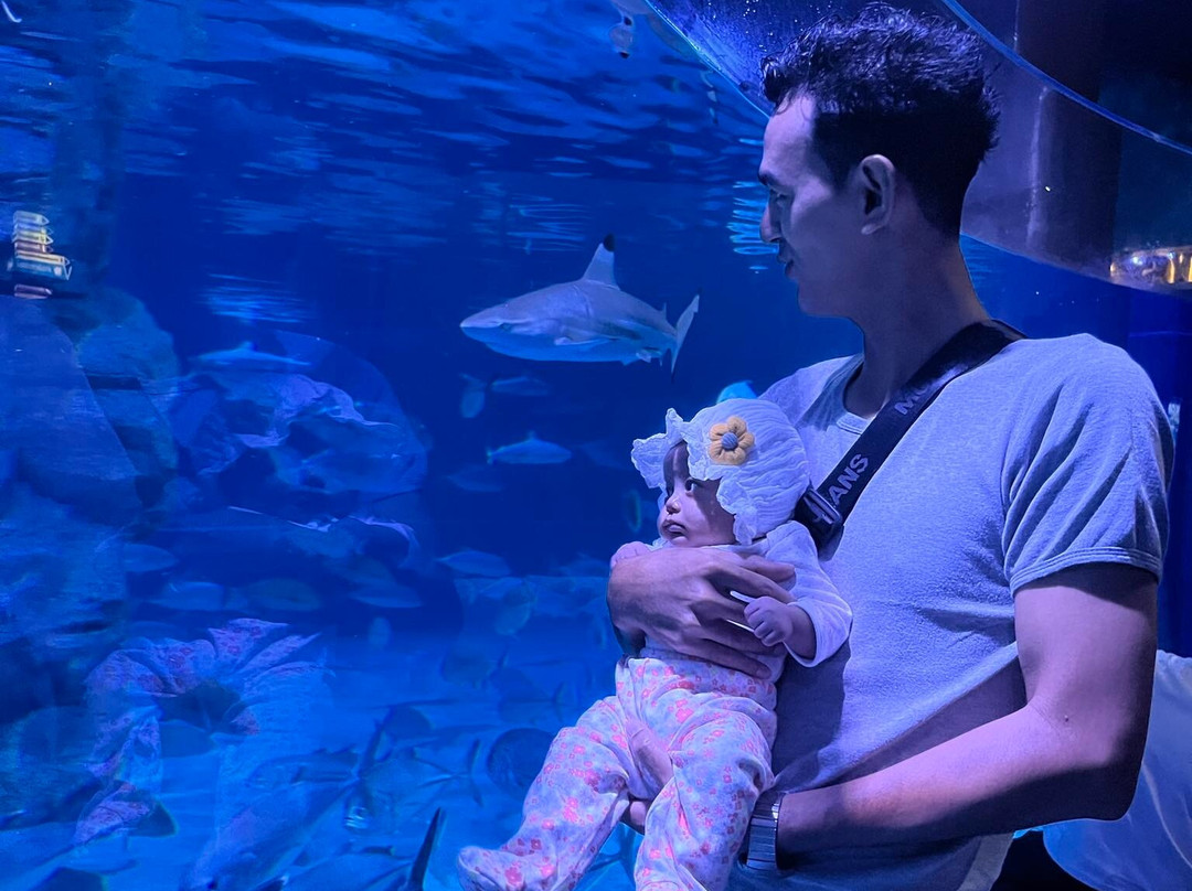 Aquaria Phuket Thailand-普吉镇必去景点