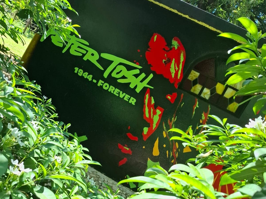 Peter Tosh Monument-内格里尔必去景点