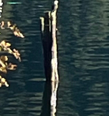 Sitka Bike & Hike-锡特卡必去景点