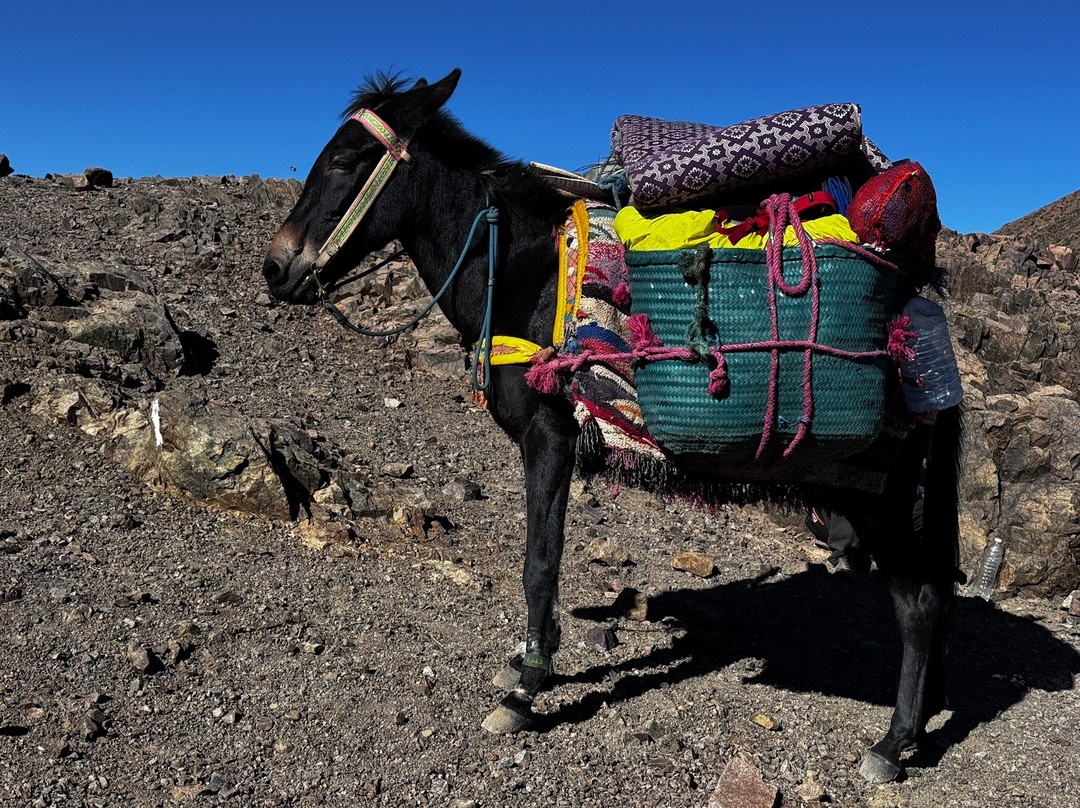 Atlas Mountain Trekking-马拉喀什必去景点