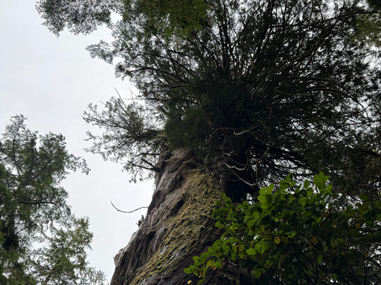 Paddle West Kayaking-托菲诺必去景点