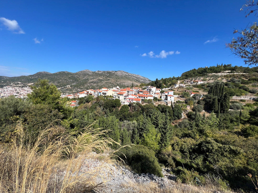 Sunshine Pension主图