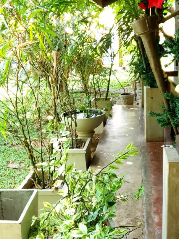 Pavana Hotel - Negombo主图