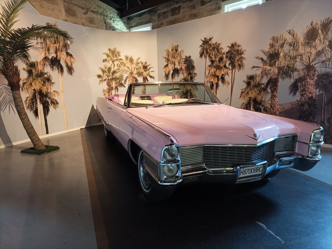 Pink Palace Museum-加亚新城必去景点