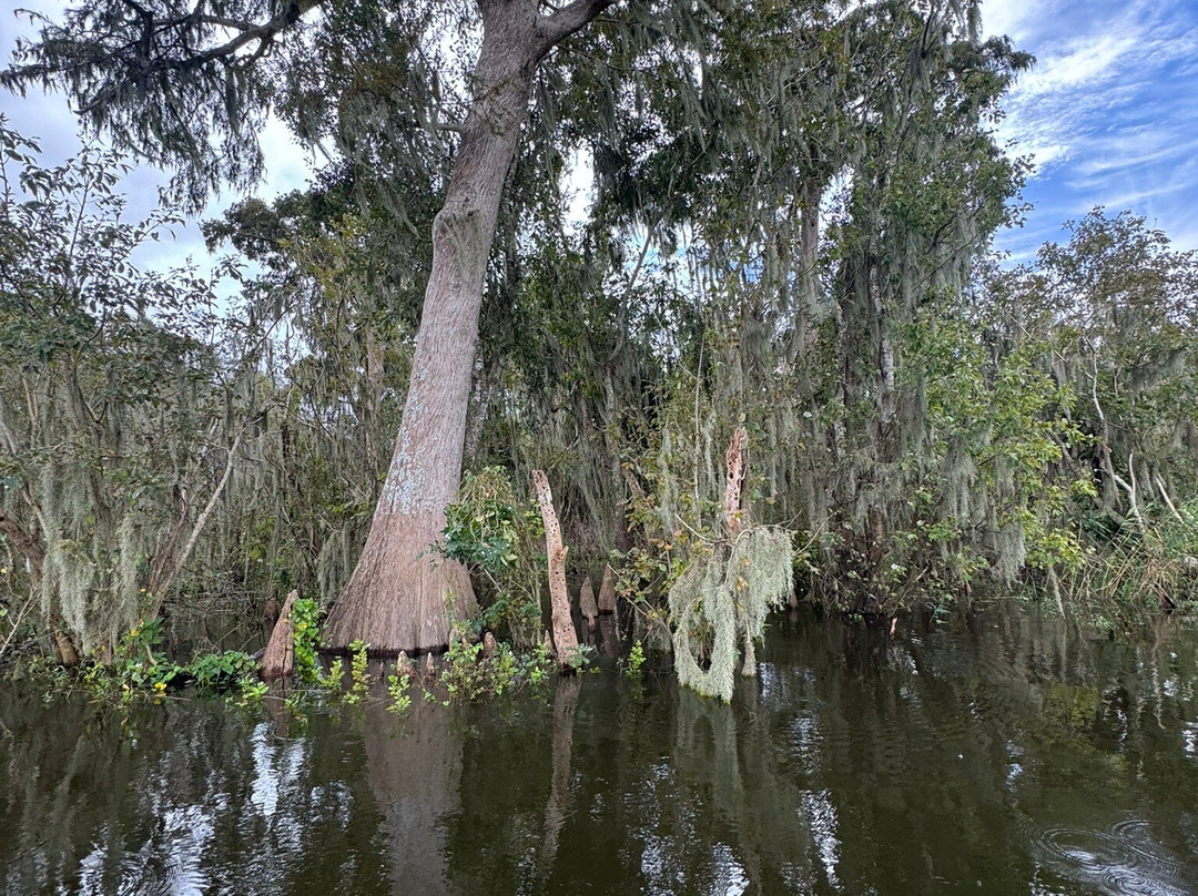 Black Hammock Adventures-Oviedo必去景点