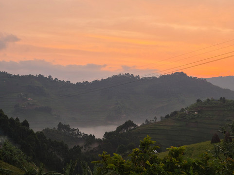 Allanblackia safaris-恩德培必去景点
