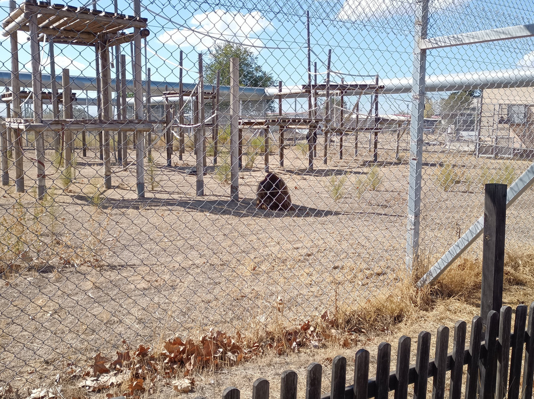 Centro De Rescate Y Recuperación De Primates Rainfer-Fuente El Saz De Jarama必去景点