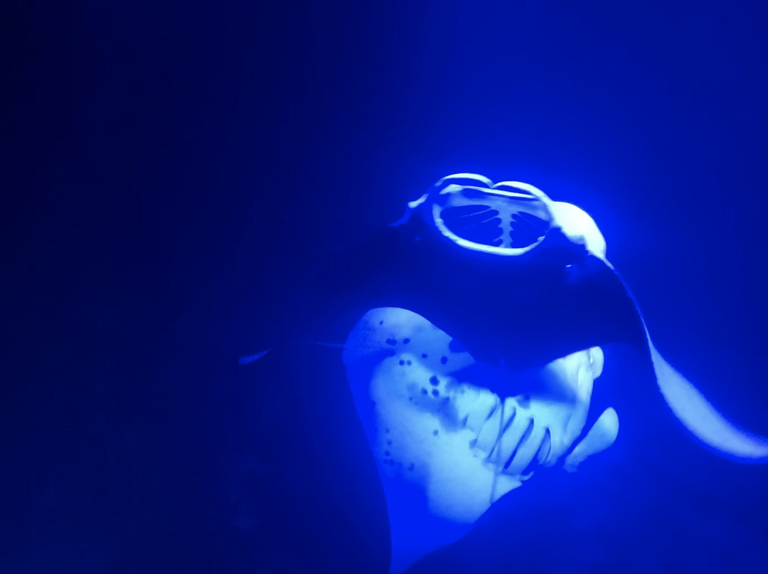 Anelakai Adventures-凯乌渥必去景点