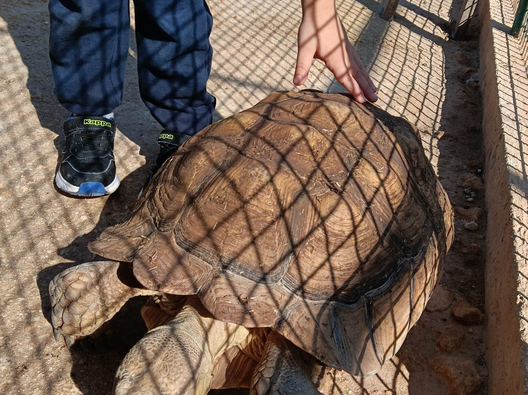 La Fattoria Dei Salari-Floridia必去景点