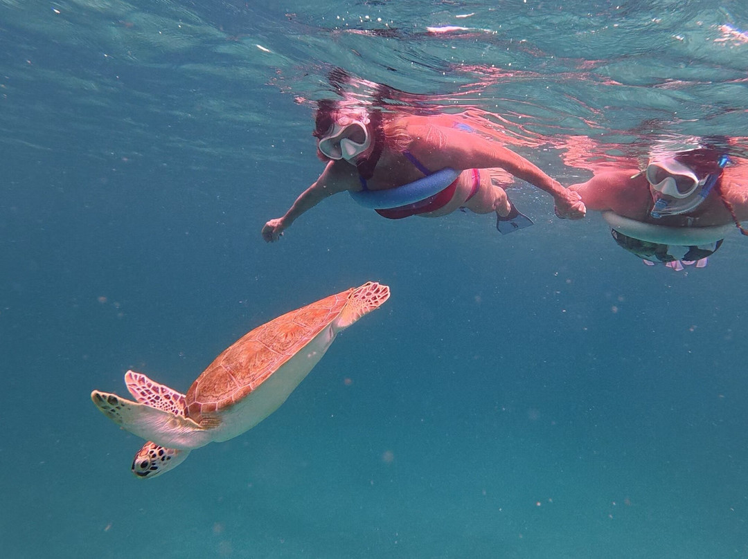 Tres Trapi Steps-Noord必去景点