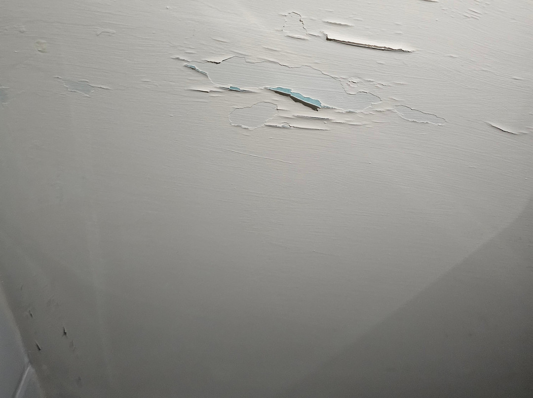 The Burrow Guest House主图