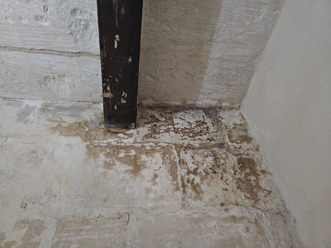 The Burrow Guest House主图