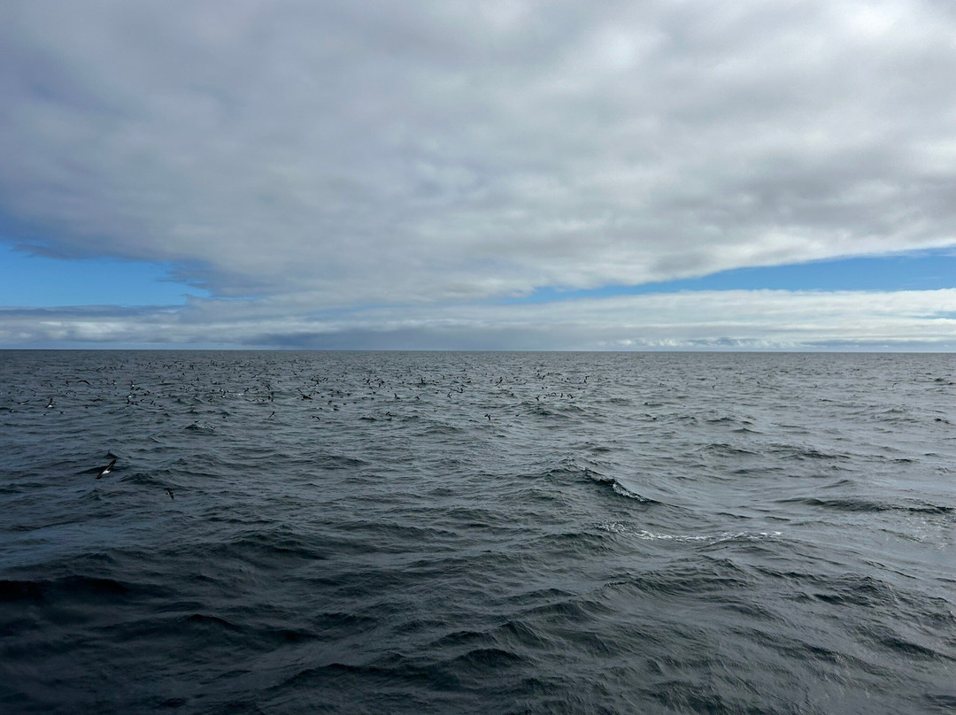 Metropolitan Touring-Baltra必去景点