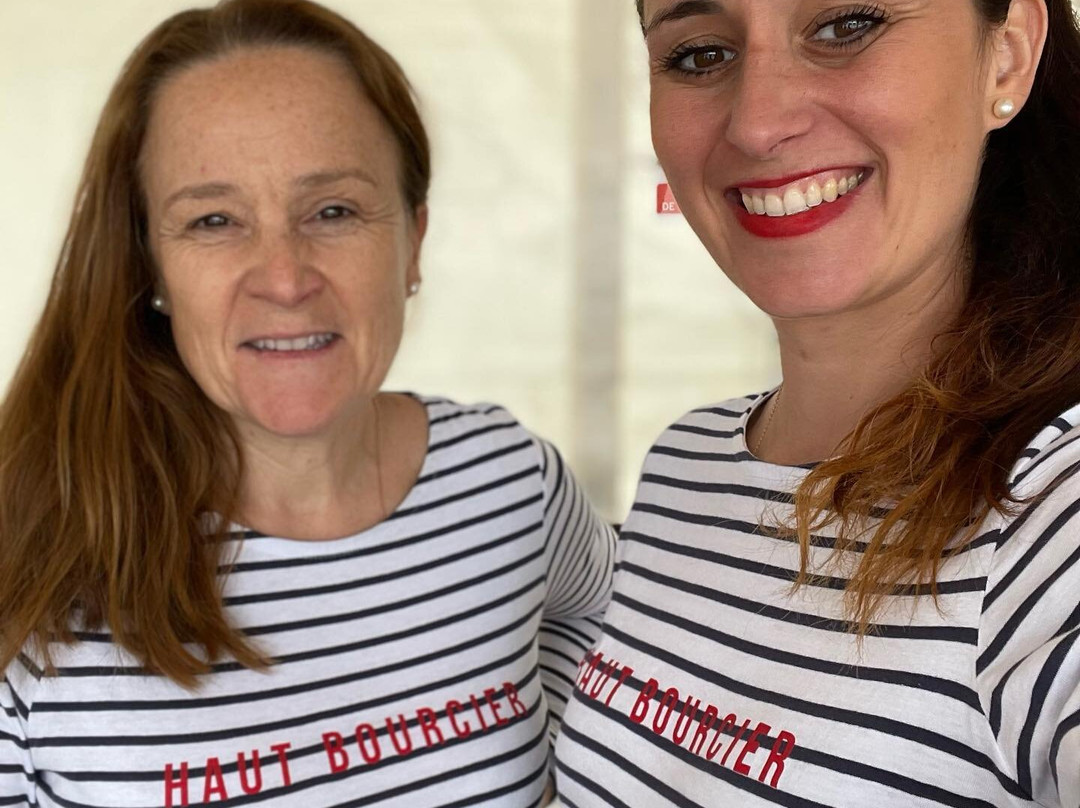 Chateau Haut-Bourcier