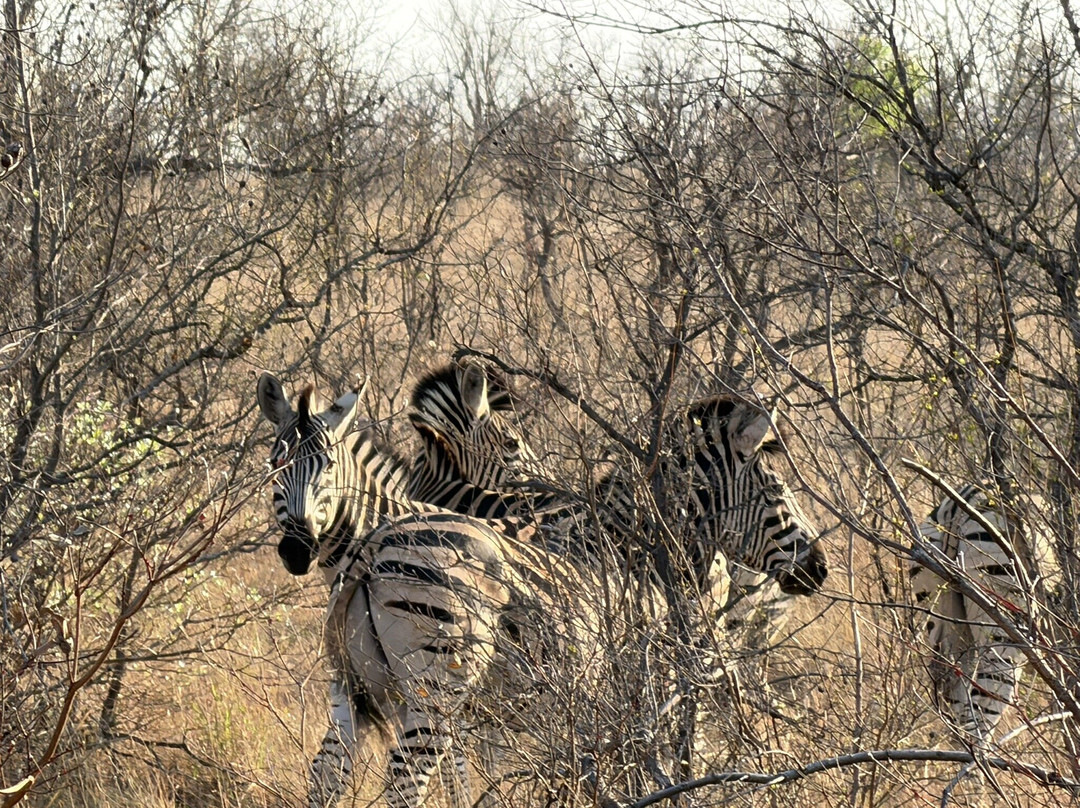 KPS Safaris & Tours-伐拉博瓦必去景点