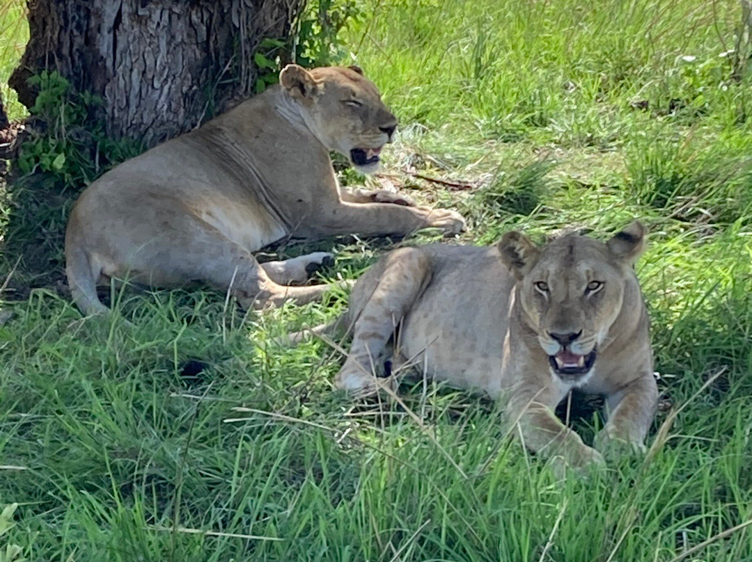 Martins Safaris-米库米国家公园必去景点