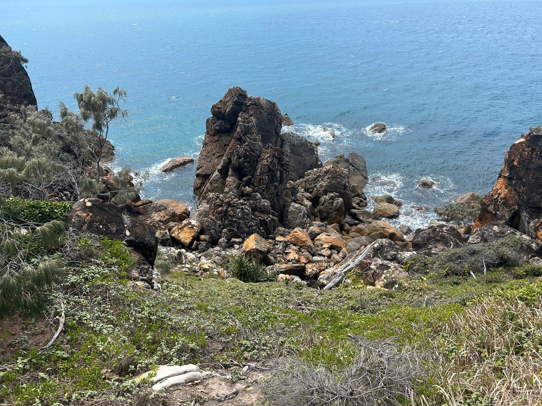 Joseph Banks Regional Park-1770镇必去景点