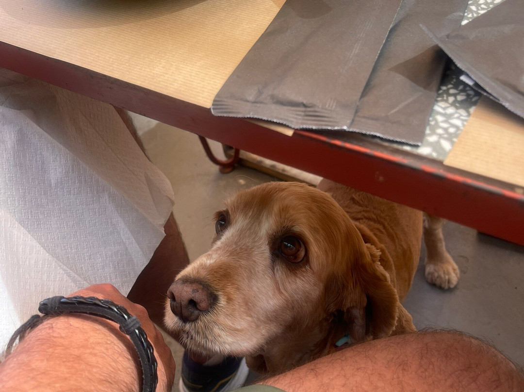 Myrtillo-Divarata必去景点