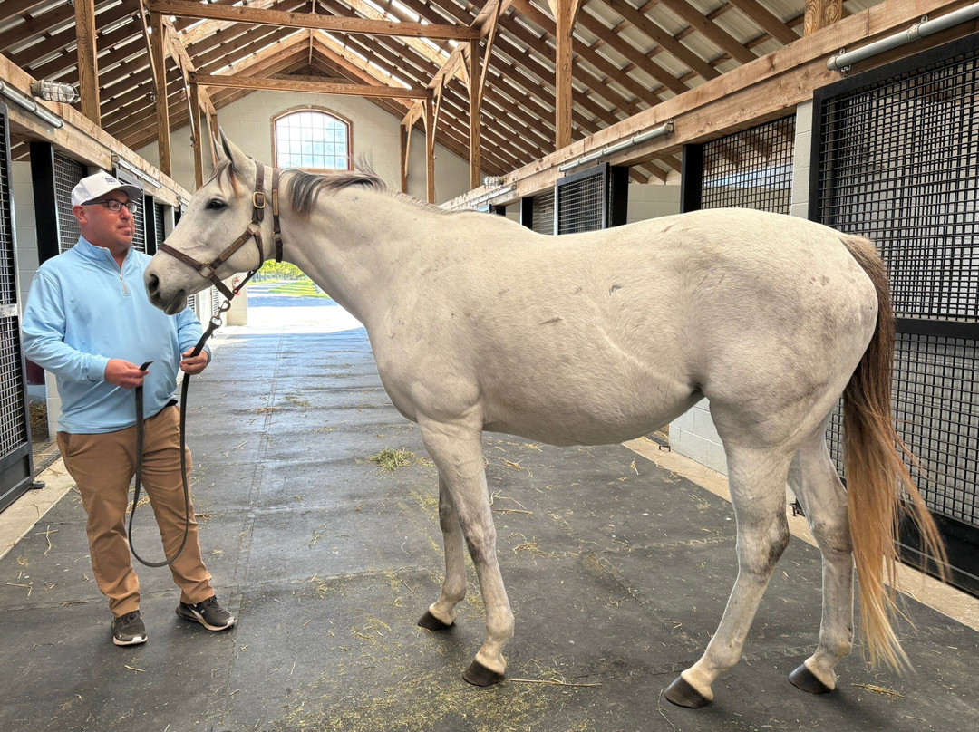 Taylor Made Farm-Nicholasville必去景点