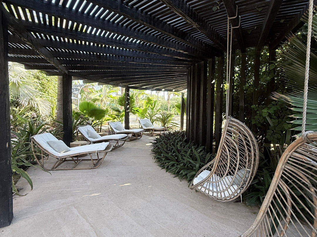 Botánica Spa At Kimpton Mas Olas-佩斯卡德罗必去景点