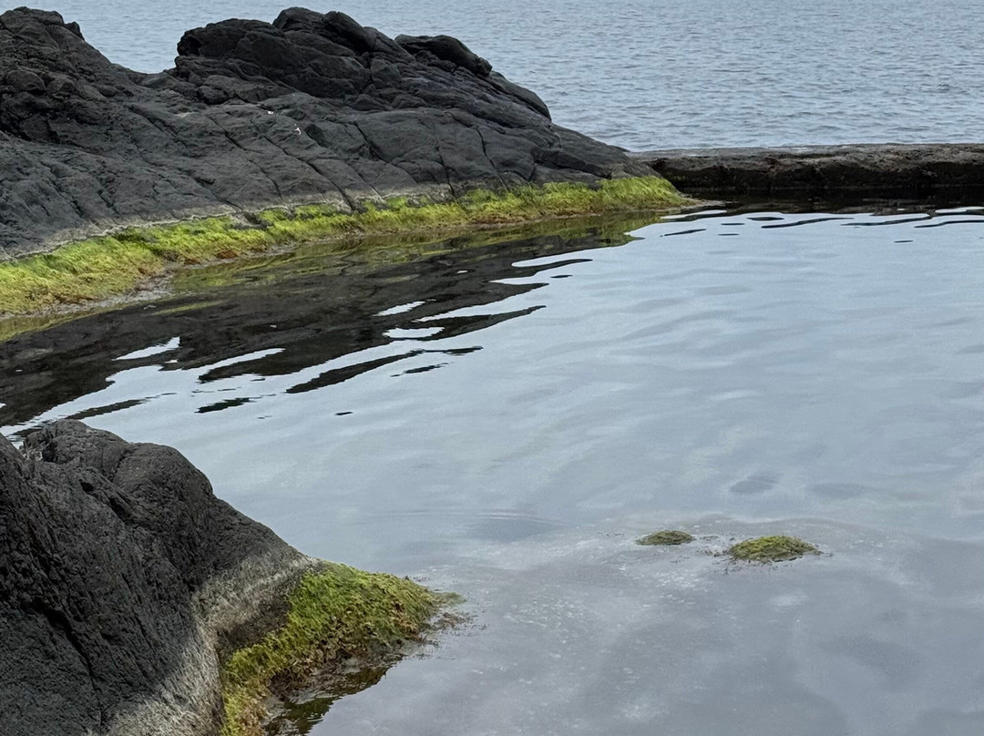 Safari Madeira Island-沙尔必去景点