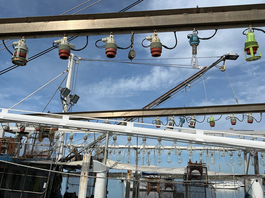 Apollo Bay Harbour-阿波罗湾必去景点