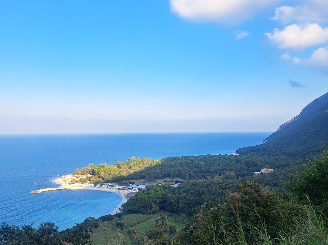 Marco's Way Wine Tours-Ostra必去景点