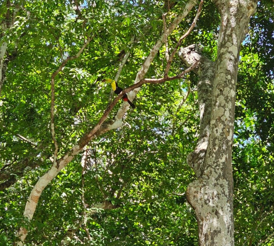 Visit Calakmul-Xpujil Town必去景点