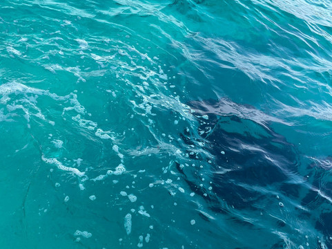 Yellow Glass Bottom Boat-帕福斯必去景点