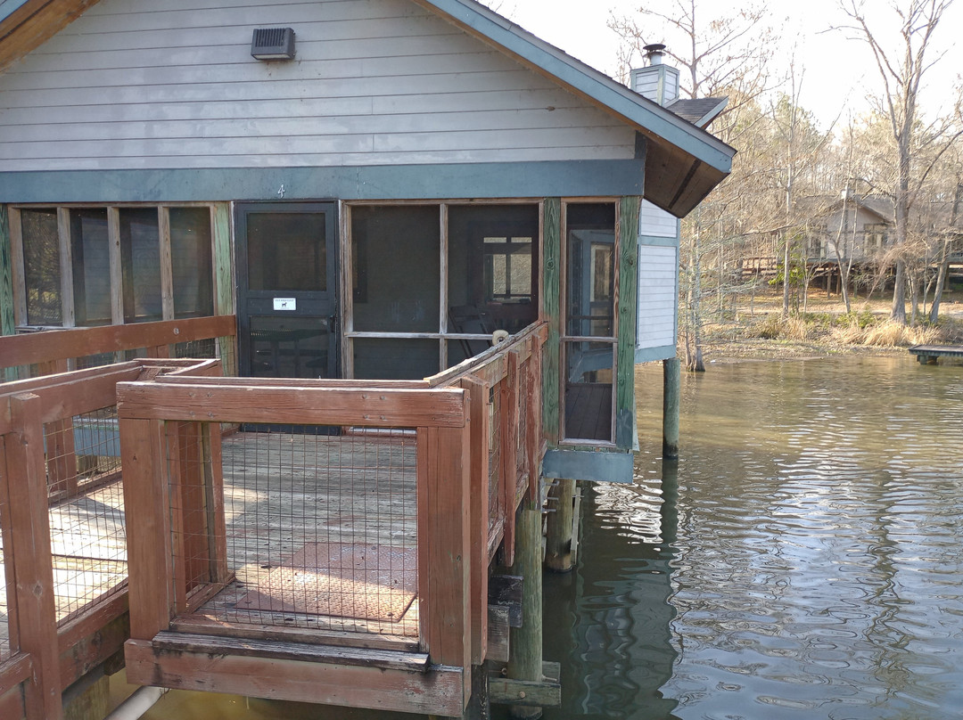 Chicot State Park-Ville Platte必去景点