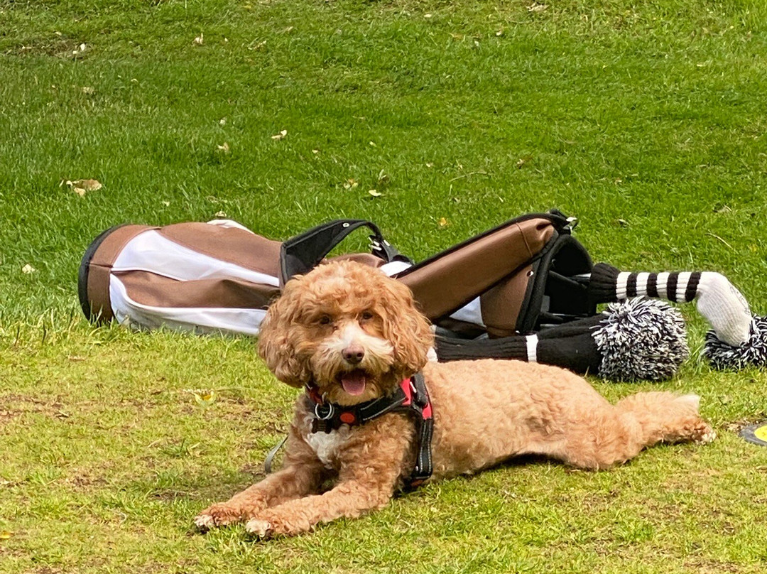 Arcot Hall Golf Club-Cramlington必去景点