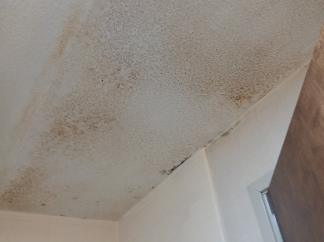 Comfort Inn & Suites Watervliet主图