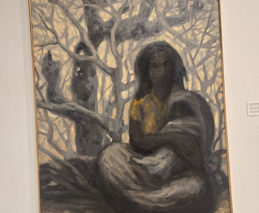 Tucson Museum of Art and Historic Block-图森必去景点