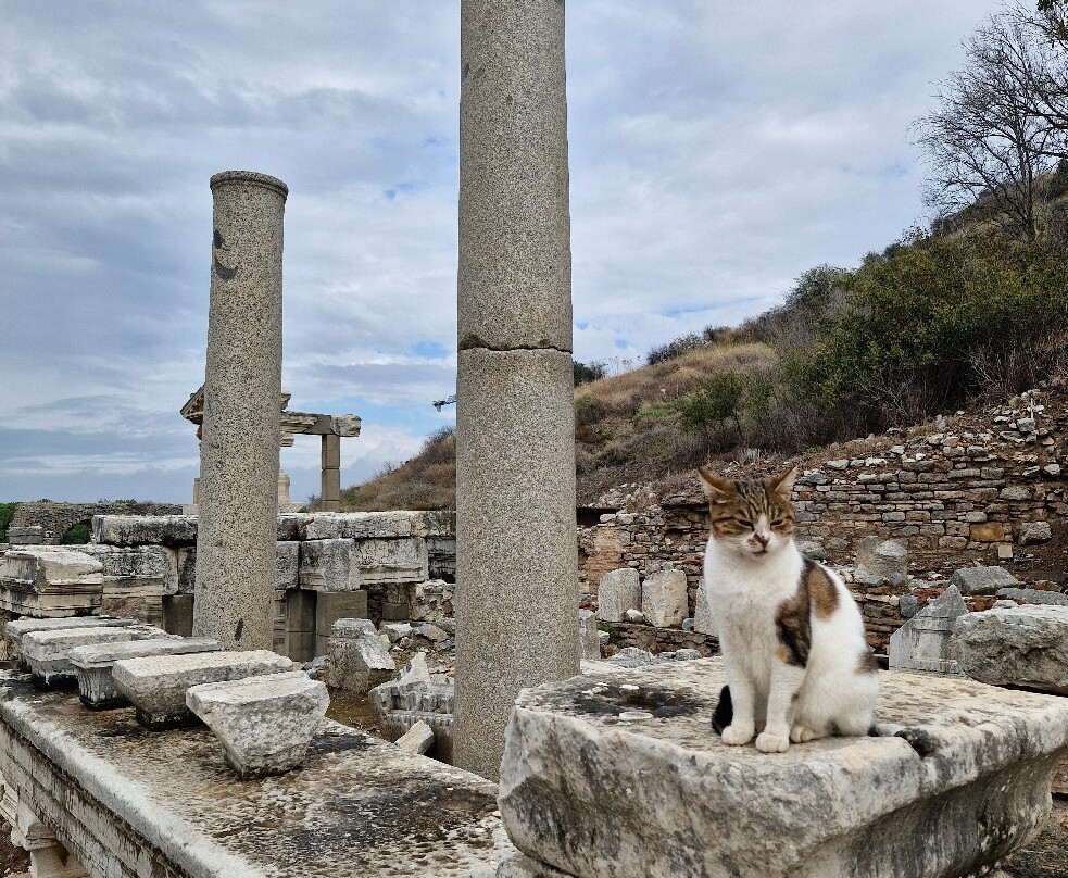 Sightseeing In Kusadasi-库萨达斯必去景点