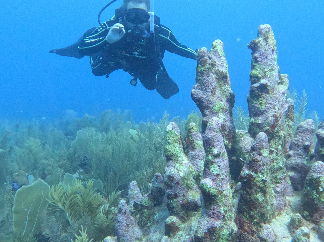 Infinity 2 Diving-图伦必去景点