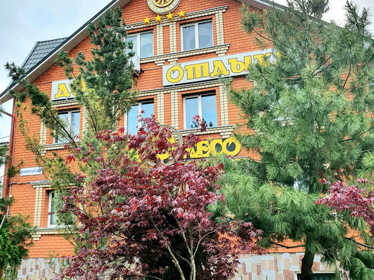 Gostinitsa Koleso主图