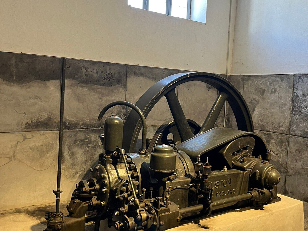 Tomato Industrial Museum, D.Nomikos-维查德必去景点