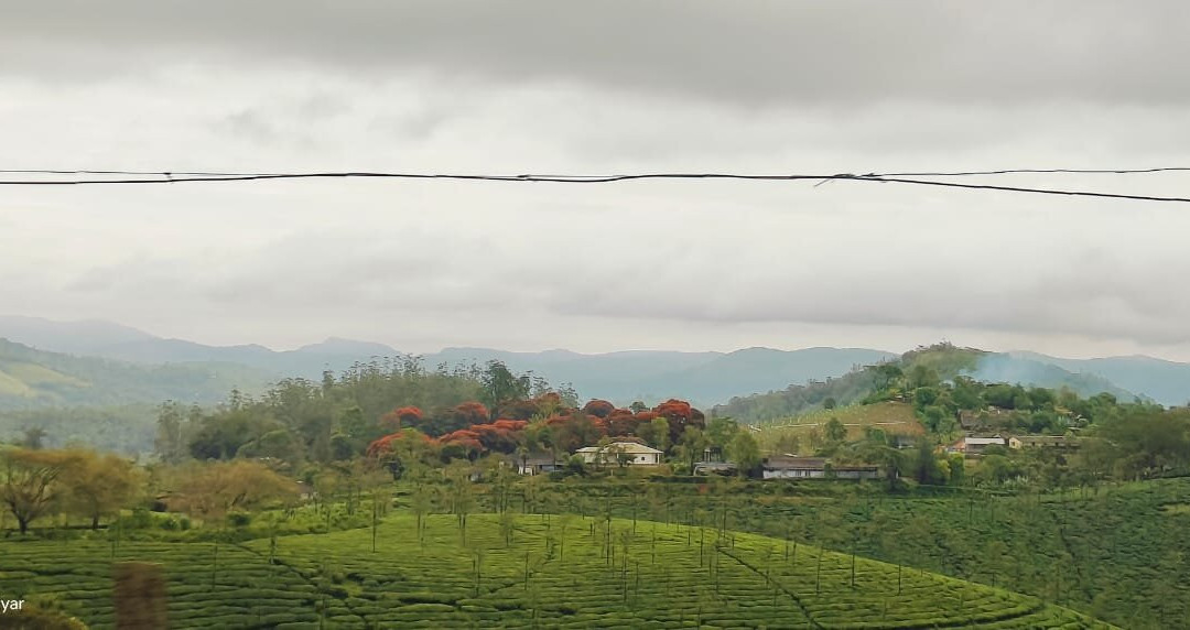 Joshua Tours-Irinjalakuda必去景点