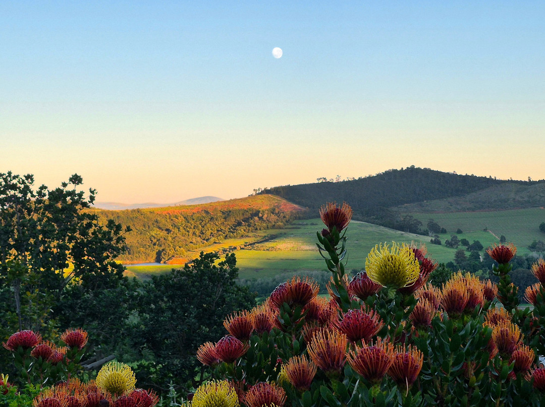 The Hydro; Stellenbosch主图