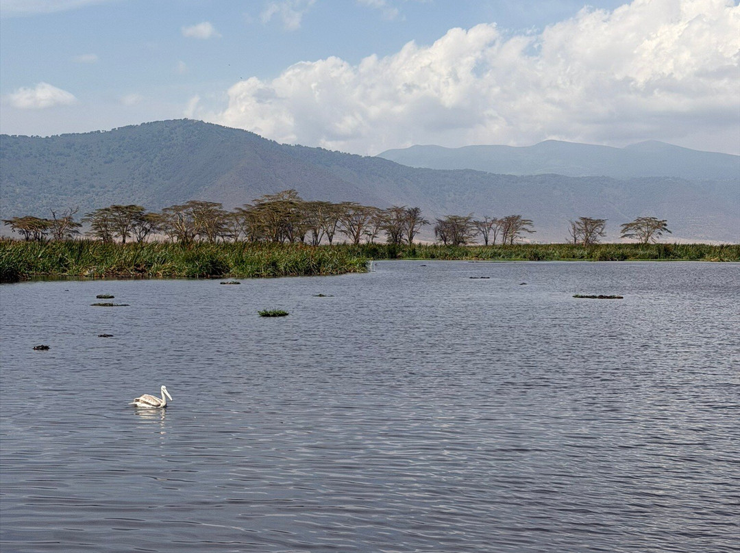 Unlimited Expeditions - The Soul Of Tanzania-阿鲁沙必去景点