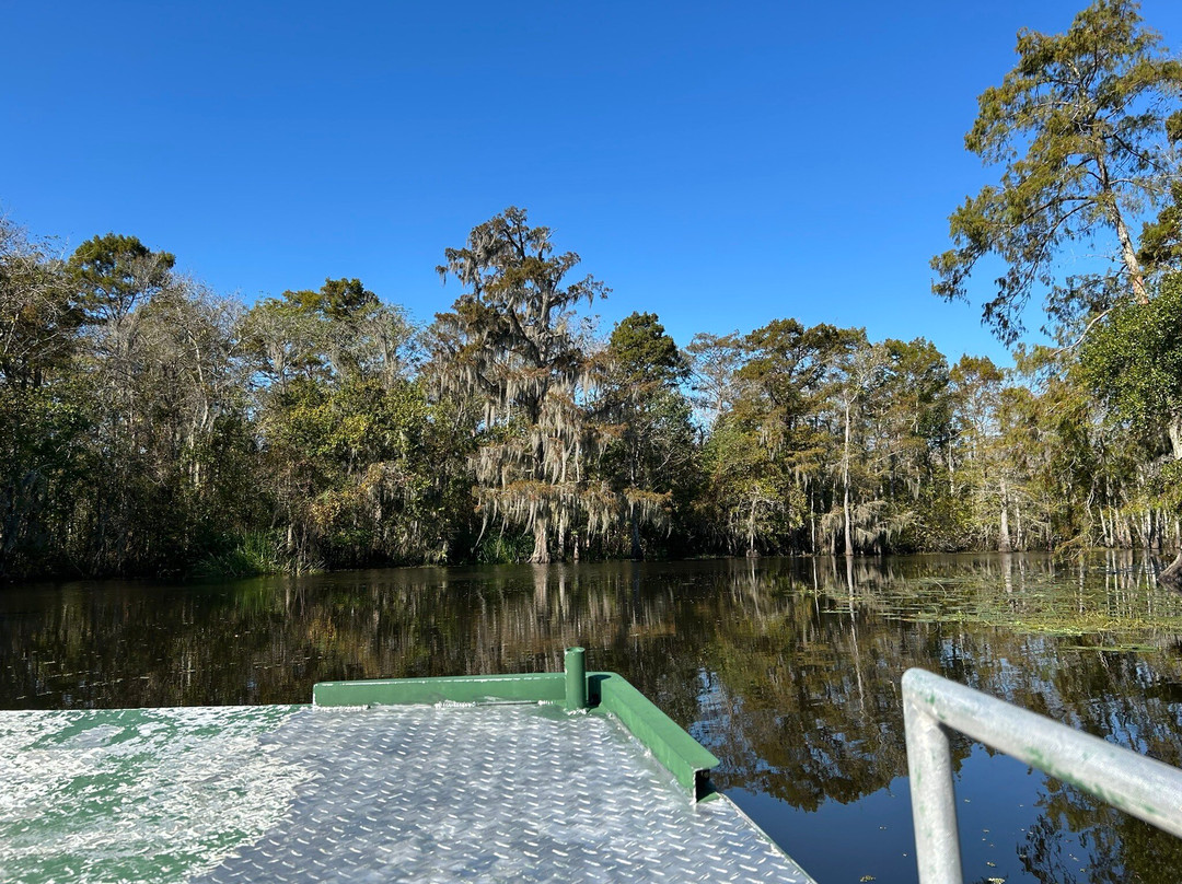 Beyond the Bayou-新奥尔良必去景点