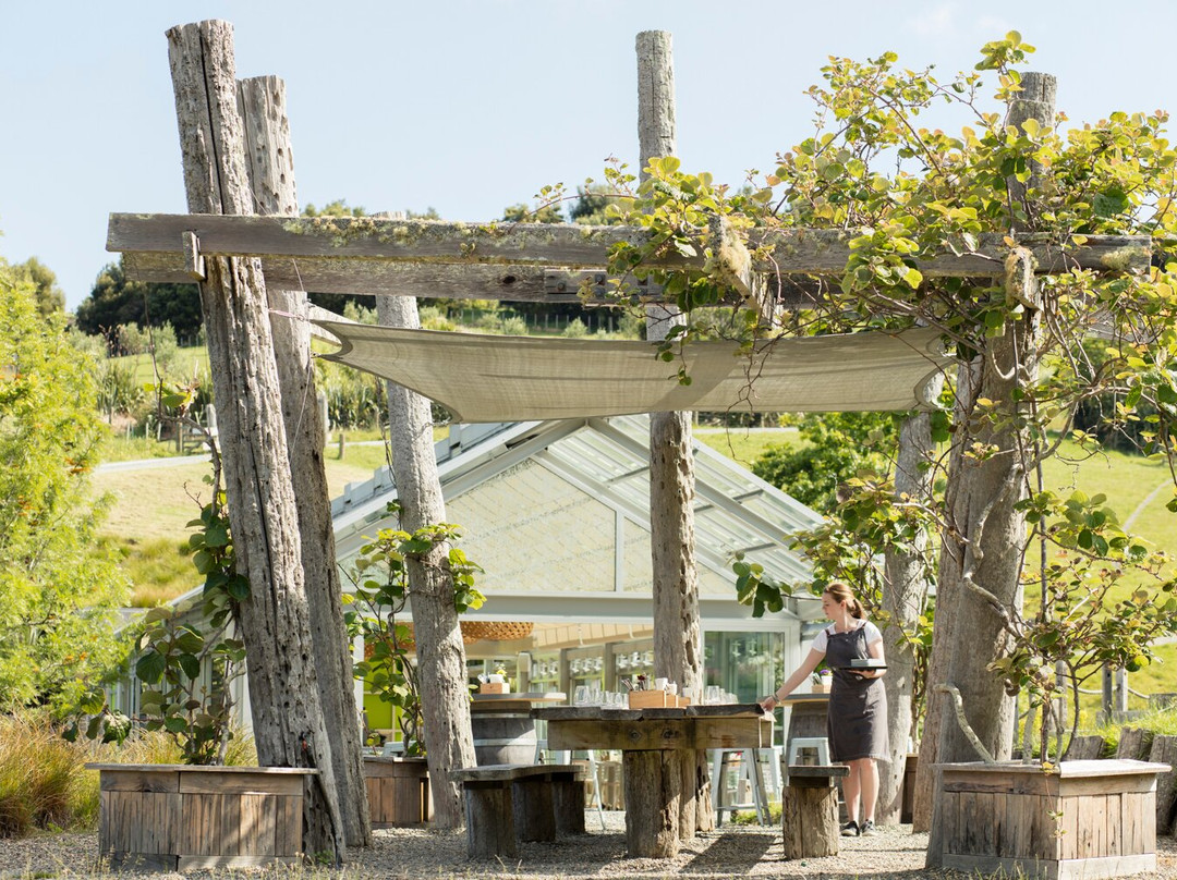 Matakana Tours-马塔卡纳小镇必去景点