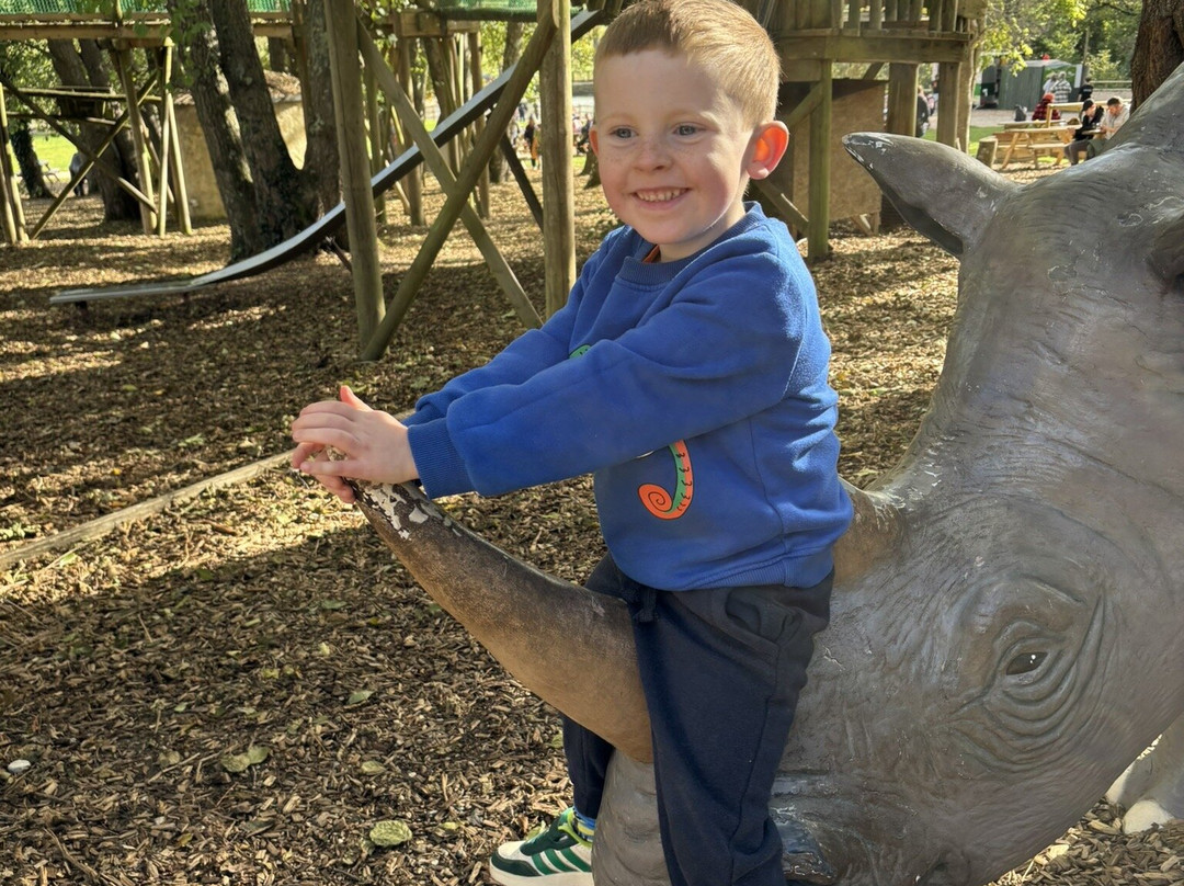 Robin Hill Adventure Park-纽波特必去景点