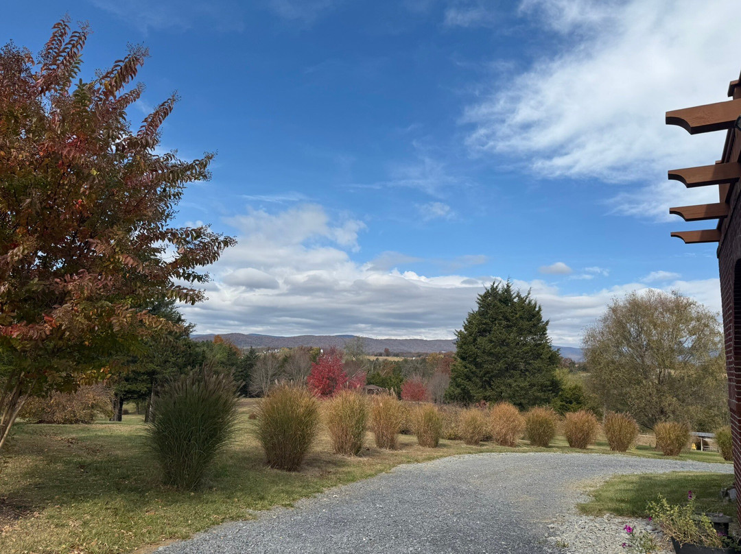 Wolf Gap Vineyard &  Winery-Edinburg必去景点