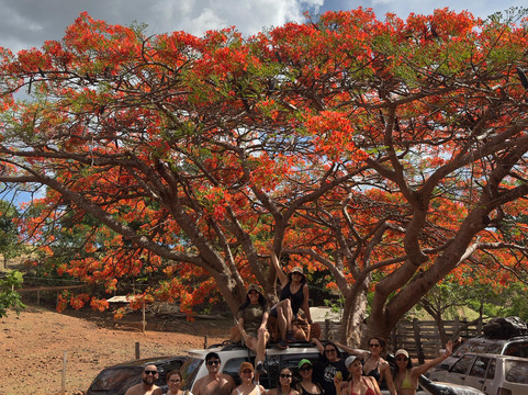 Agreste Jalapão-Palmas必去景点