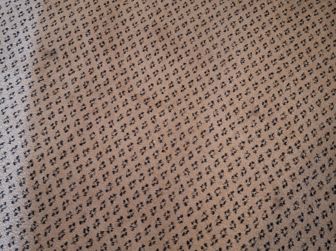 霍威尔快捷假日&套房酒店主图