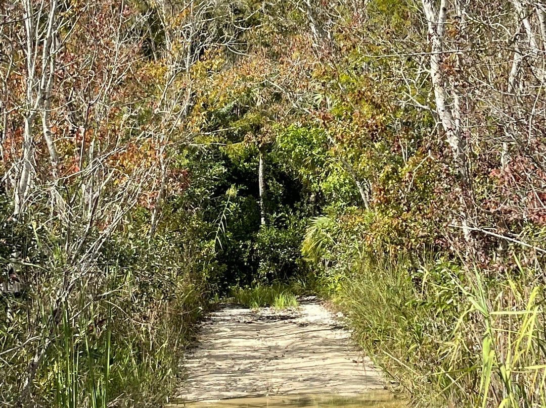Wooten's Everglades Airboat Tour-奥乔皮必去景点
